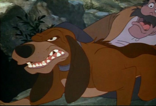 Tilki Ve Avcı Köpeği Fotoğrafı