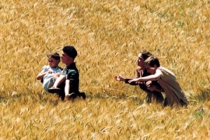 Yoldan Çıkanlar Fotoğrafı