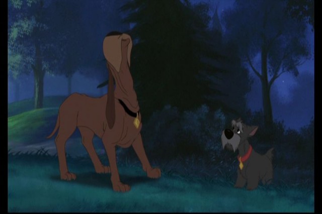 Lady And The Tramp II: Scamp's Adventure Fotoğrafları 11