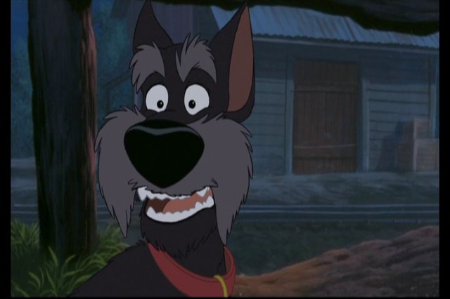 Lady And The Tramp II: Scamp's Adventure Fotoğrafı