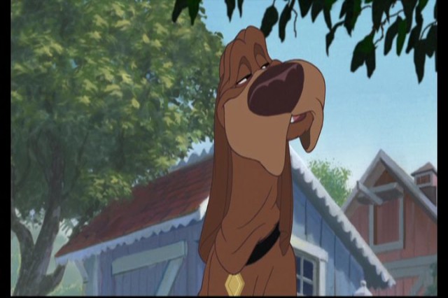 Lady And The Tramp II: Scamp's Adventure Fotoğrafı