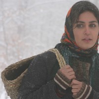 Rüzgar Çayırda Eser Fotoğrafı
