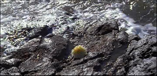 Alcatraz'dan Kaçış Fotoğrafı