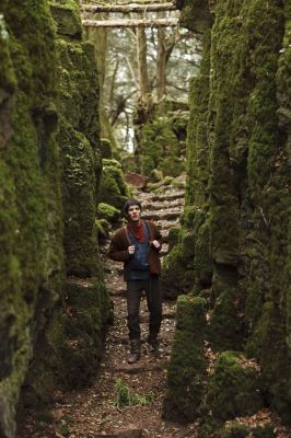 Merlin Fotoğrafı