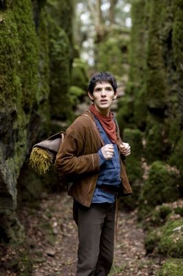 Merlin Fotoğrafı