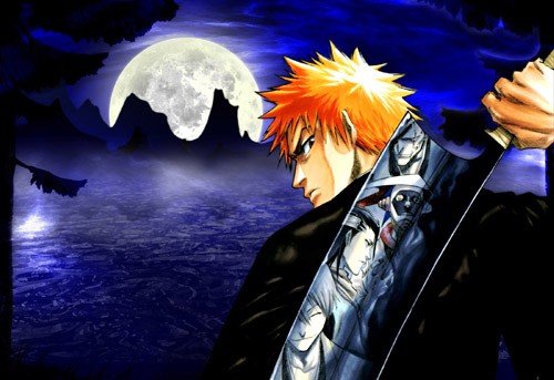 Bleach Fotoğrafı