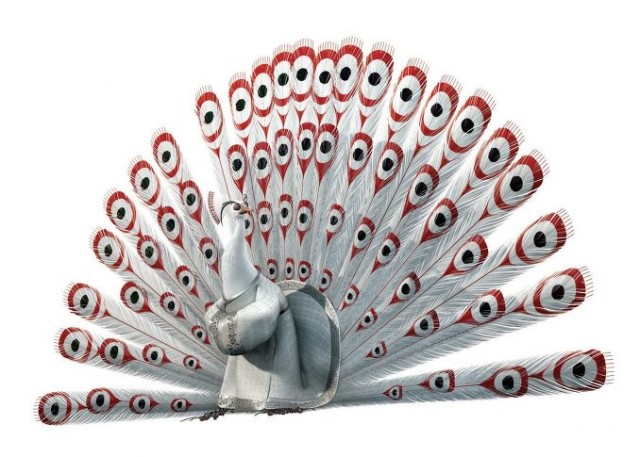 Kung Fu Panda 2 Fotoğrafı