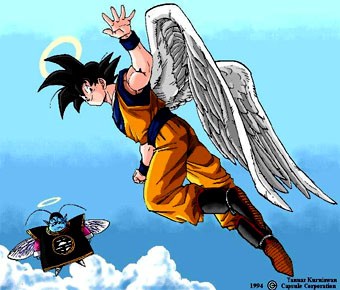 Dragon Ball Z Fotoğrafı
