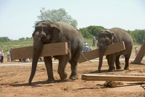 Aman Tanrım Fotoğrafı