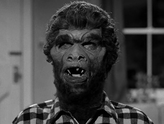 Monster On The Campus Fotoğrafı