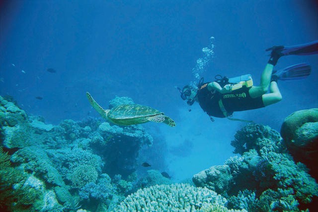 Into The Deep fotoğrafı