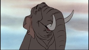 Orman Çocuğu Fotoğrafı