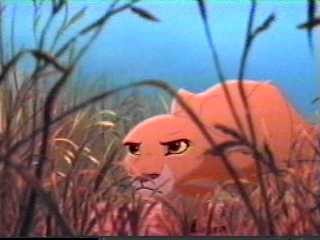 Aslan Kral 2: Simbanın Onuru Fotoğrafı