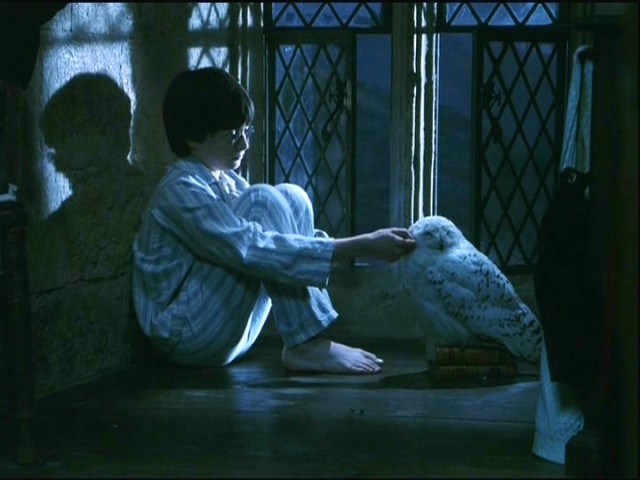 Harry Potter ve Felsefe Taşı Fotoğrafı