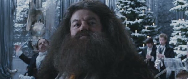 Harry Potter ve Ateş Kadehi Fotoğrafı