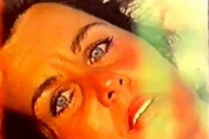 Gelincik Fotoğrafı