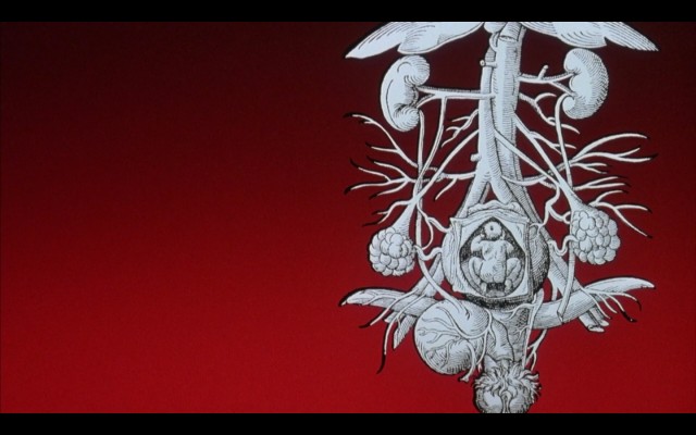 Ölü İkizler Fotoğrafı