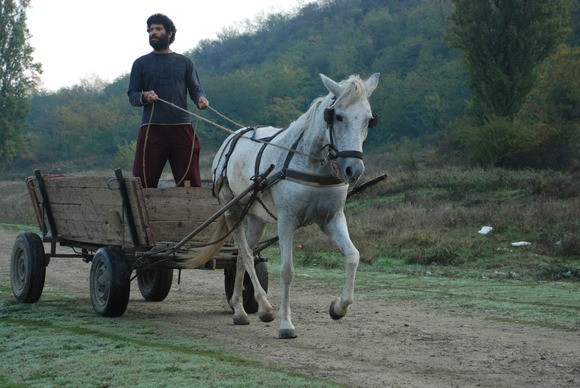 Yüzer Fotoğrafları 5