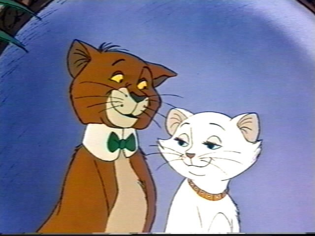 Aristokediler Fotoğrafı