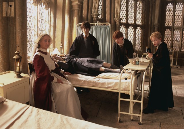 Harry Potter ve Sırlar Odası Fotoğrafları 19