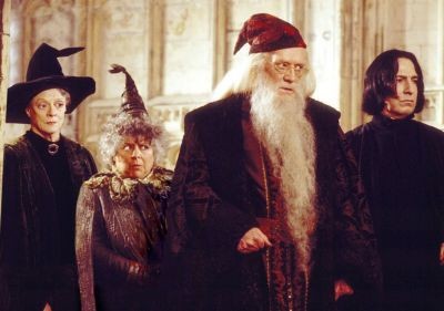 Harry Potter ve Sırlar Odası Fotoğrafları 30