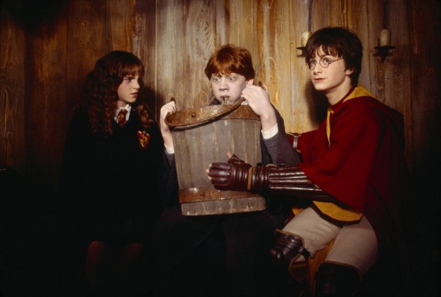 Harry Potter ve Sırlar Odası Fotoğrafları 99