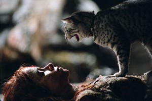 Kedi Kadın Fotoğrafı