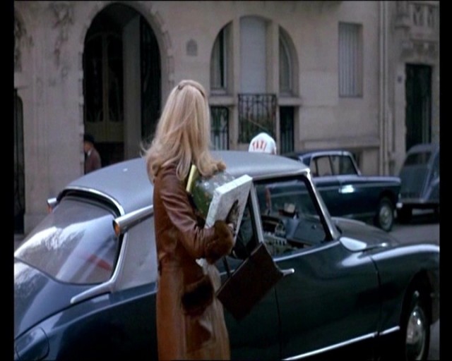 Gündüz Güzeli Fotoğrafı