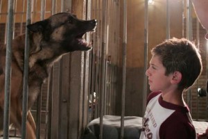 Yaratık Fotoğrafı