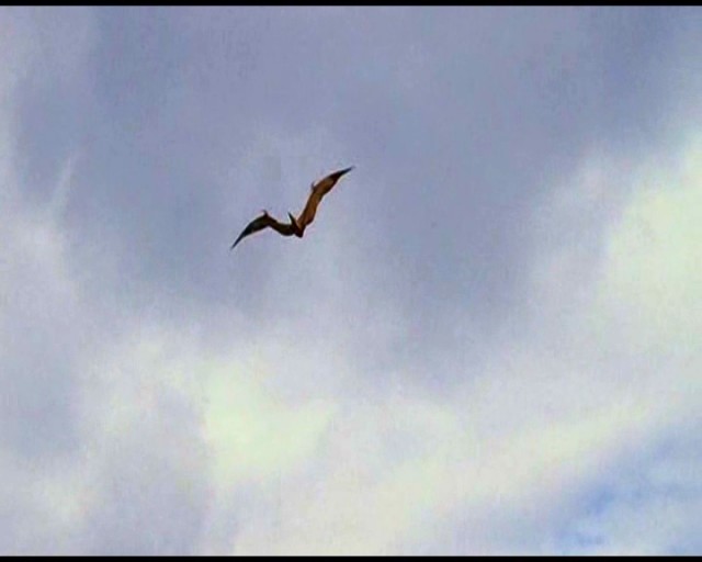 Yaratığın Pençesi Fotoğrafı