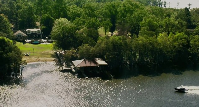 Katil Köpekbalığı Fotoğrafı