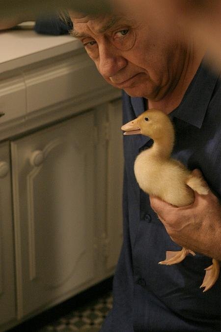Duck fotoğrafı