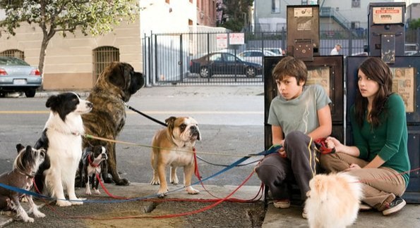 Köpek Oteli Fotoğrafları 18