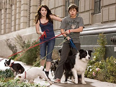 Köpek Oteli Fotoğrafı