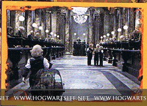Harry Potter ve Ölüm Yadigarları: Bölüm 2 Fotoğrafları 328