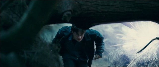 Harry Potter ve Ölüm Yadigarları: Bölüm 2 Fotoğrafı