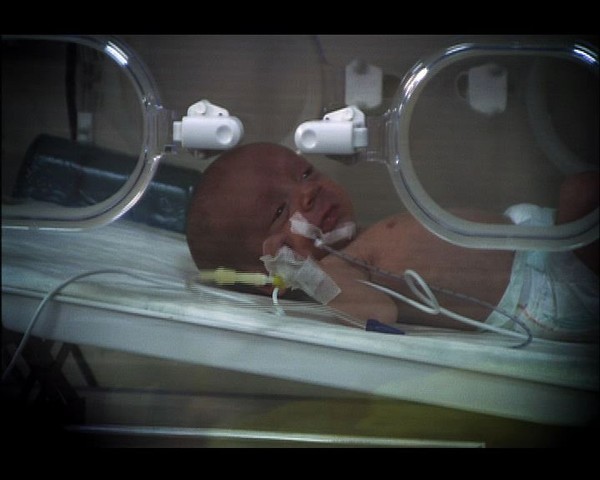 Lale Devri Fotoğrafı