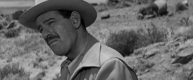 Yalnız Ve Cesur Fotoğrafı