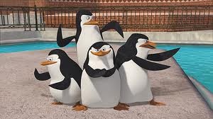 Madagascar Penguins Fotoğrafları 4