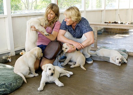 Marley ve Ben Fotoğrafı