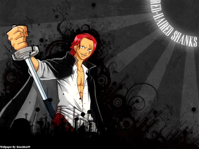 One Piece Fotoğrafları 23