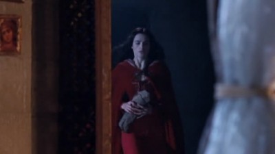 Merlin Fotoğrafı