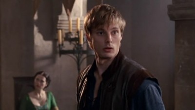 Merlin Fotoğrafı