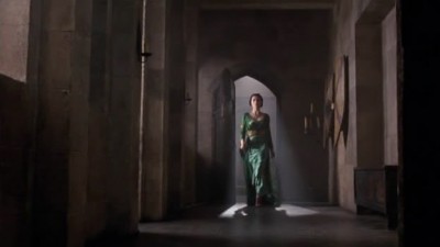 Merlin Fotoğrafı