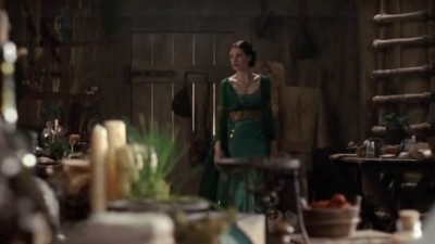 Merlin Fotoğrafı