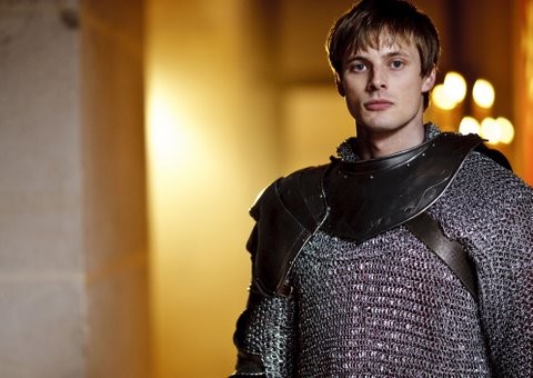 Merlin Fotoğrafı