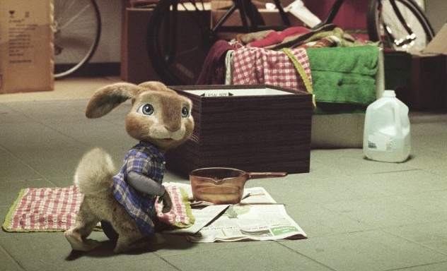 Hop Fotoğrafı