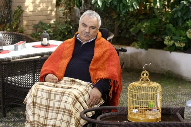 Yaprak Dökümü Fotoğrafı