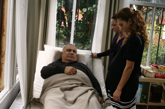 Yaprak Dökümü Fotoğrafı