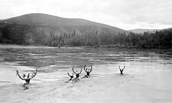 Yukon Flight Fotoğrafları 1